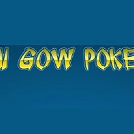 Try Pai Gow Poker slot by Rival on jackpot-nl.com – logo image
